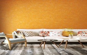 Interior Paints